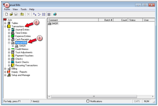 Select transactions, manual bills from the main window